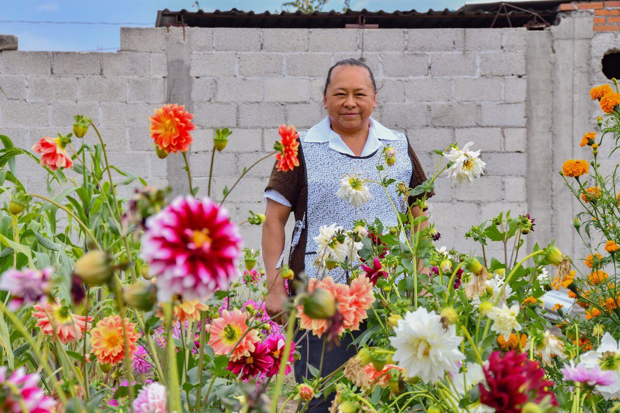 Se pintan de colores hogares de Huamantla con entrega gratuita de Dalias